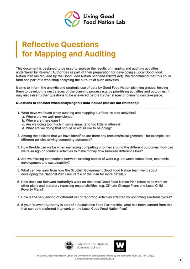 Preview of Reflective Questions for Mapping and Auditing